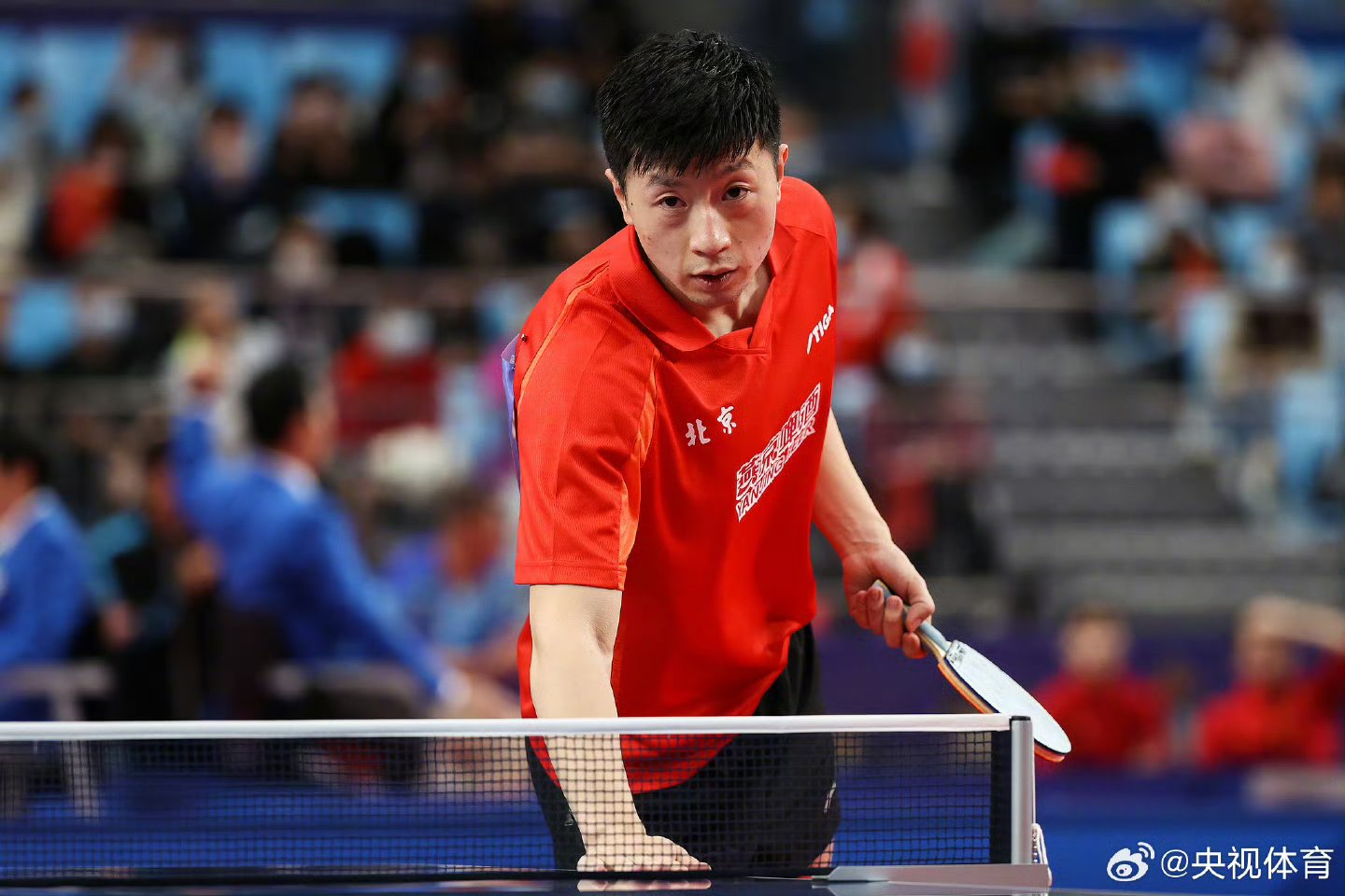 关于英国乒乓球队爆冷日本乒乓球队，马龙高光表现的信息