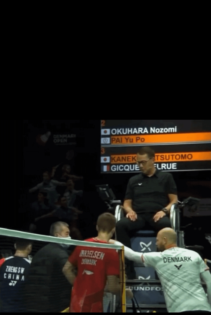 法国队完胜丹麦队，郑思维关键制胜的简单介绍